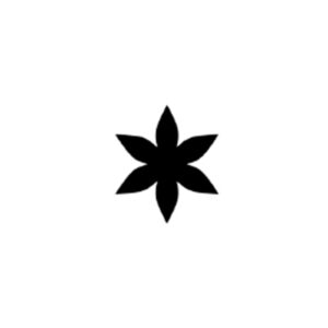 C019