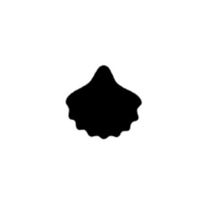 C020