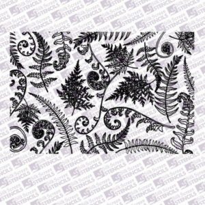 Fern Leaves