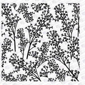 Baby's Breath