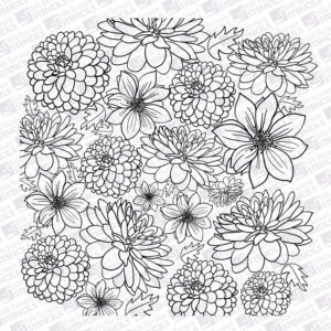Dahlias