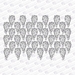 Protea Outline Pattern 1