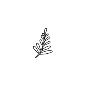 Polymer Clay Stamp - Leaf 3