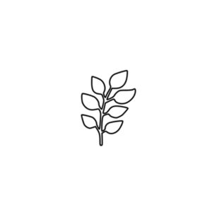 Polymer Clay Stamp - Leaf 5
