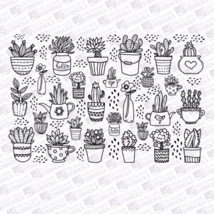 Cacti Planters