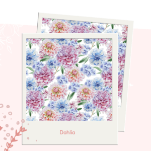 Dahlia