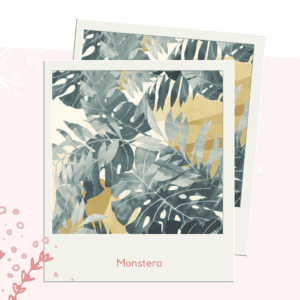 Monstera