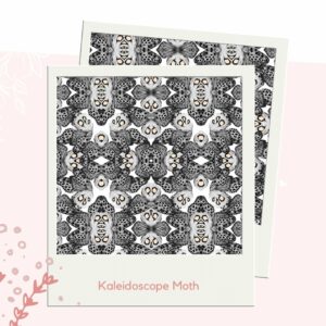 Kaleidoscope Moth