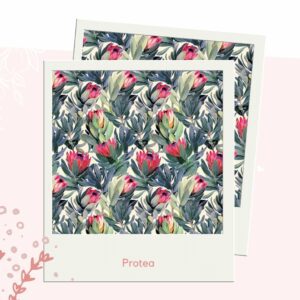 Protea